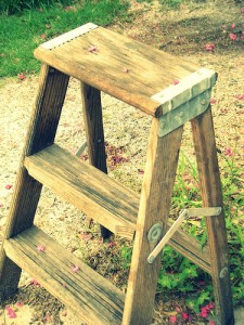ladder
