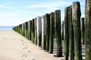 steps